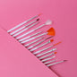 Nail Art Brush Set